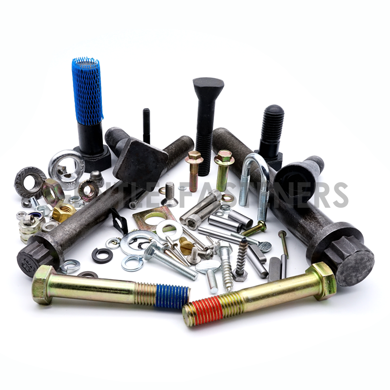 Fasteners sample display