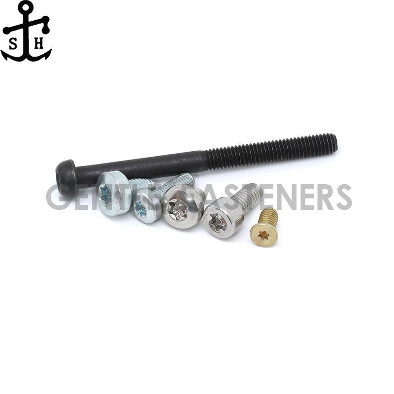 Customized Torx Drive Screws